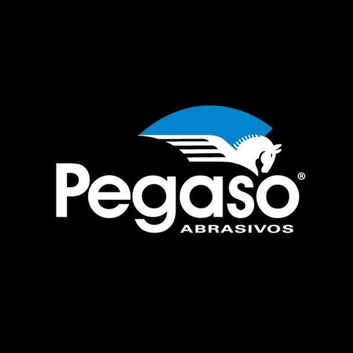 pegaso_8